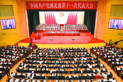 湖北齊星集團黨代表周艷玲參加省第十一次黨代會