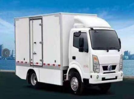 Electric Van Transporter Special Line Cargo Transporter